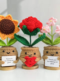 Cute Crochet Sunflower/Rose/Forget-me-not,Hand Knitted Flower,Thank you for helping me grow Quotes,Teacher Appreciation,Mother's Day Gift ANNIVERSARY