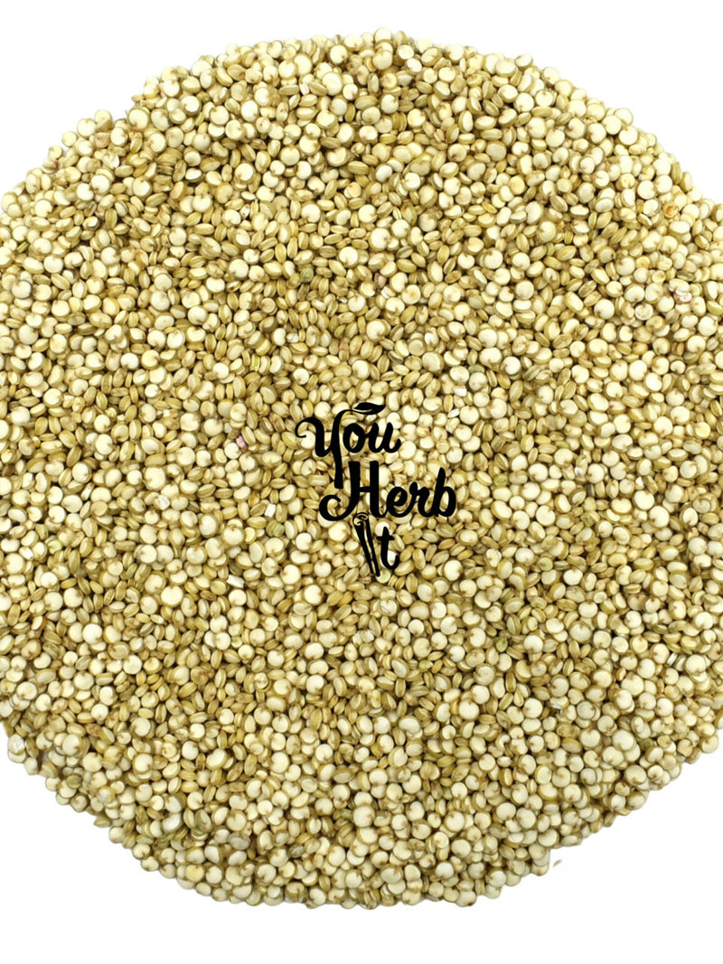 White Quinoa Dried Whole Seeds - Chenopodium Quinoa seeds bulk