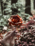 Pure Copper small Rose handmade home decor gift metal forever flower custom 7 year anniversary gift plant spike garden or memorial cemetery ANNIVERSARY