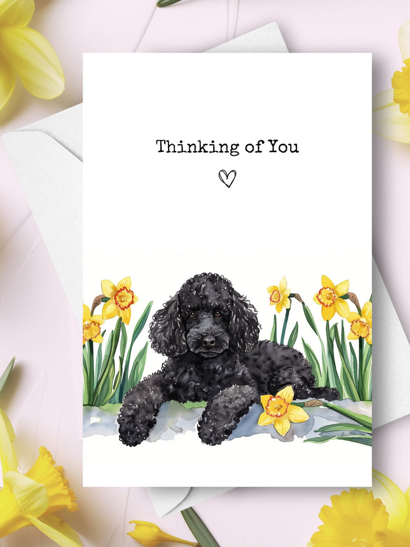 Black Poodle Thinking of You Card, Pet Dog Sending Cheer Love Greeting, Yellow Daffodils Sympathy Gift, Spring Flowers Watercolor Present sympathy flower