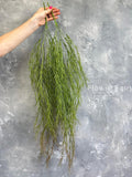 36" Faux Herb Rosemary Foliage Hanging Plant - Artificial Greenery faux plants