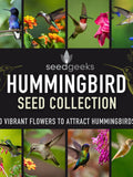 Hummingbird Flower Seed Collection - 10 Heirloom Nectar Varieties flower seeds