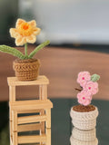 Crochet March Birth Flower Set Ð Cherry Blossom & Daffodil Ð Handmade Birthday Gift, Crochet Flower Home Decor birthday flower