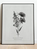August Birth Flower Bouquet | Gladiolus & Poppy | Digital Art for Prints, Posters, Gallery Wall Art | Minimal | Birthday Housewarming Gift birthday flower