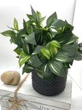 Small Fake Plants in Black Pot, Elegant Faux Greenery for Office Desk, Nearly Natural Potted Plant, Artificial Realistic Houseplant Gift faux plants