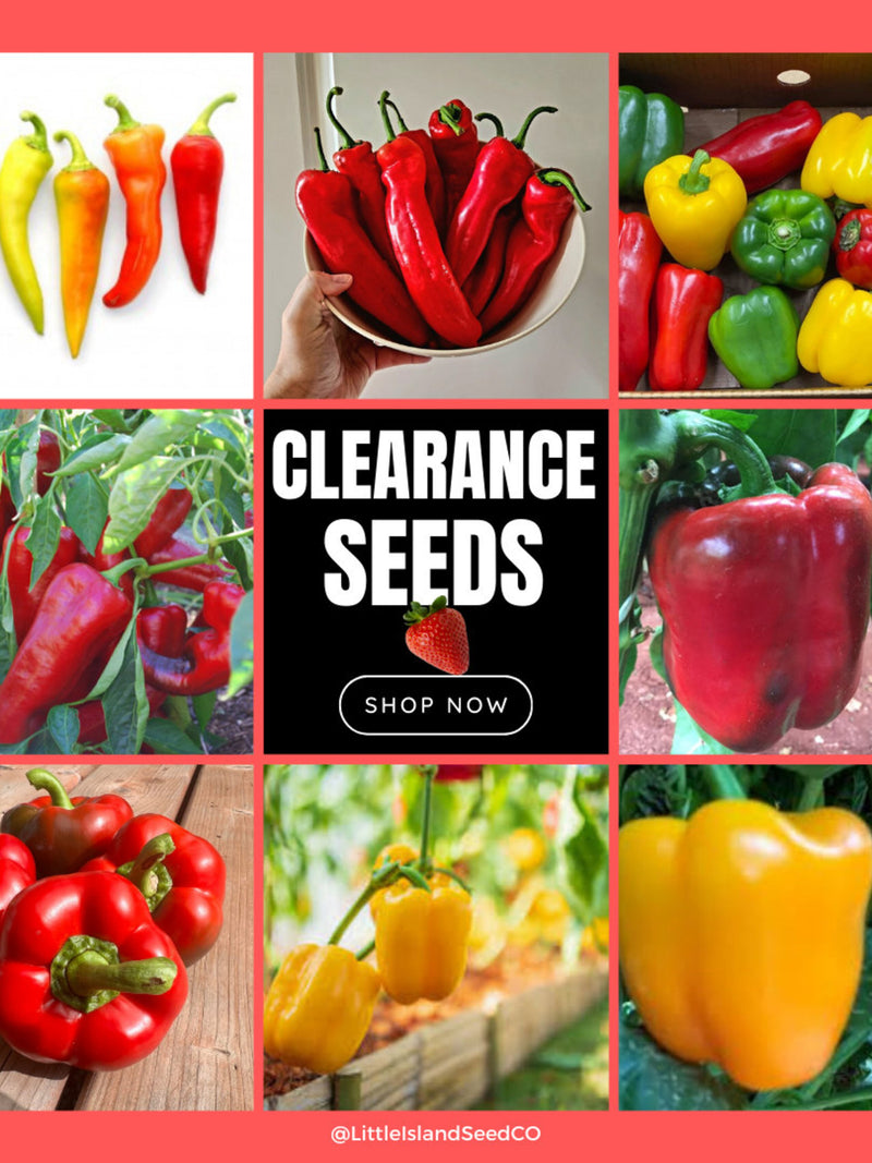Previous Season's High-Quality Seeds - Sweet Pepper Seeds: California Bell, Lipstick, Hungary & More - Viable for Years, Flat rate shipping! seeds bulk