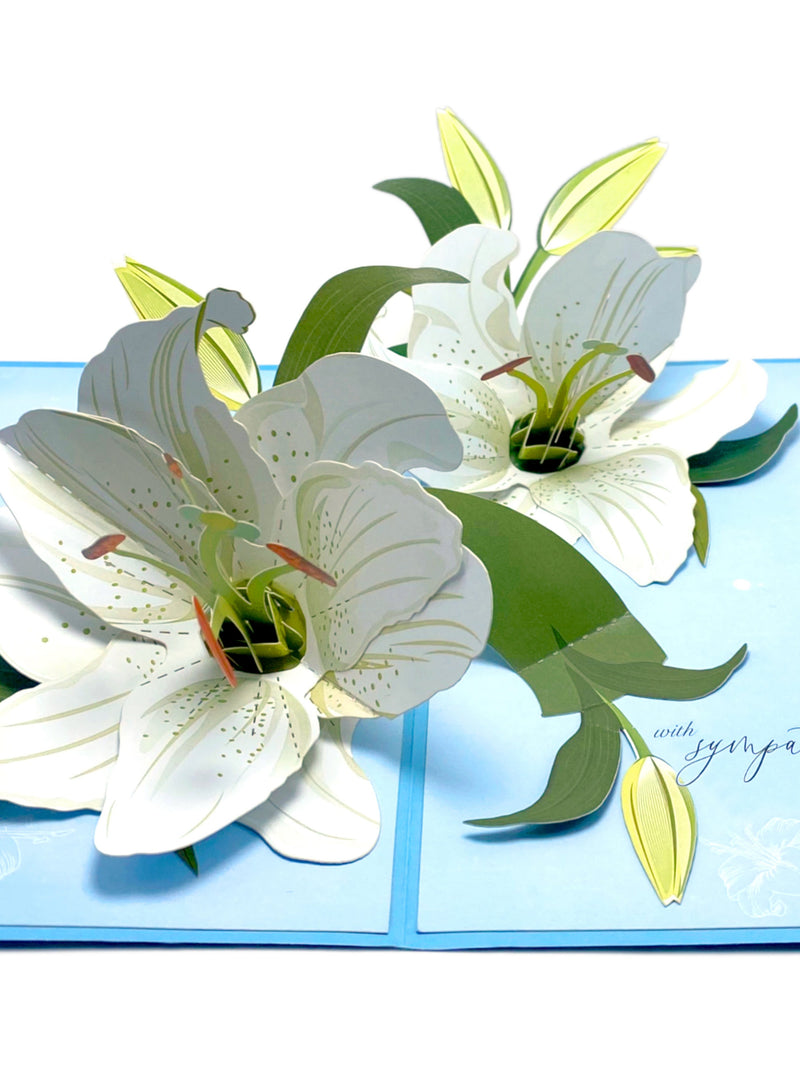 Sympathy White Lily with Dove Pop Up Card, With Deepest Sympathy, Loss of Loved One, Thinking Of You Greeting Cad, Bereavement, Grief Card sympathy flower