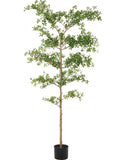 Faux Black Olive Tree, Shady Lady Tree, Black Olive Tree, Olive Tree faux plants