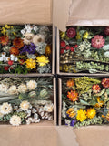 Natural Dried Flowers Mix Craft Boxes, Preserved Dry Botanical Supplies, Wildflowers, DIY Fall Wedding Decor Posies, Gift Toppers, Resin FLOWER DELIVERY