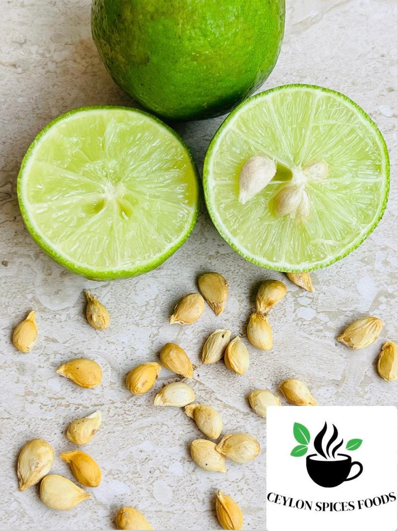 Key Lime Seeds Rare Citrus Seeds for Home Gardening seeds bulk
