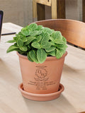 Custom Engraved In Loving Memory Terracotta Plant Pot & Saucer, Personalised Name Date Sympathy Flower Planter Bereavement Grief Garden Gift sympathy flower
