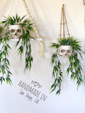Skull Planter with Faux Plant  - Halloween Skull Plant - with Jute Twine or as Floating Shelve Decor - Gothic Home Decor - Boho Decor faux plants