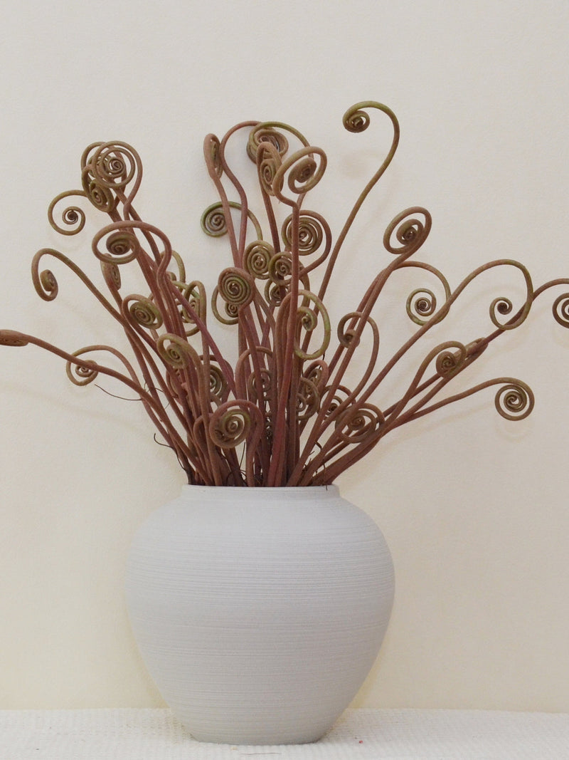 Fern Shoots with Roots, Tropical Greenery, Wild Plant Crafts, Artificial Flowers, Home Floral Decor, Wedding Party Table Centerpieces faux plants