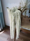 White Hanging Amaranthus Dried | Bleached White Amaranthus | Preserved Flowers | Wedding Decor | Wedding Bouquet | Hanging Dried Flowers wedding flower