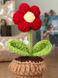 Crochet Red Flower Pot , Cute Handmade Knitted Red Flower, Wedding Gift ,Home Decor Housewarming Gift for Her, Artificial Flower for Desktop house warming flower