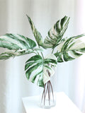 3 stems Artificial Monstera variegated White tiger albo Leaves Faux Tropical Plants Stem Fake Flower Arrangement Centerpiece Home Decor Arch faux plants