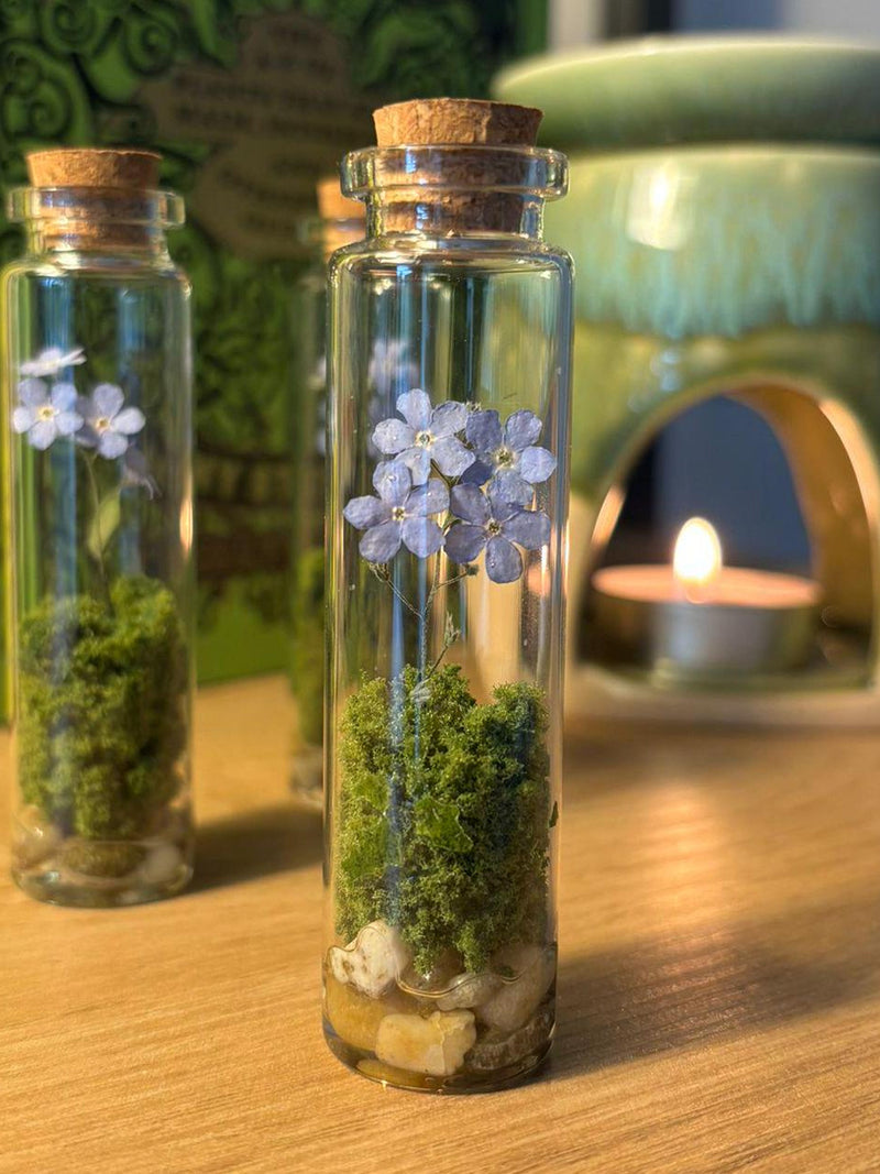 tall Forget me not botanical jars / gift / ornaments FLOWER DELIVERY