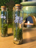 tall Forget me not botanical jars / gift / ornaments FLOWER DELIVERY