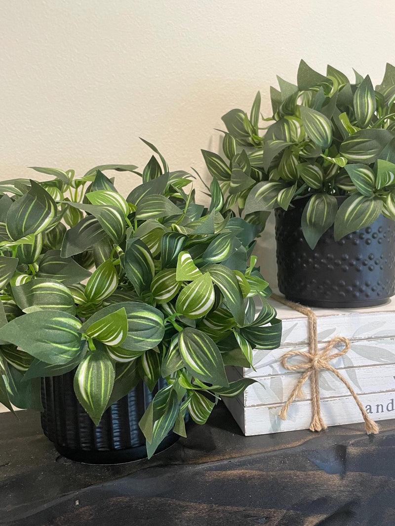 Fake Plants in Black Ceramic Pot Set of 2, Artificial Potted Greenery, Elegant Realistic Houseplant, Luxury Faux Plant Home and Office Decor faux plants