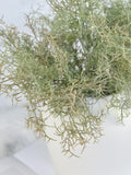 Artificial Grey Green Spanish Moss Airplants - High Quality Faux Plant / Foliage / Greenery / Home Decor / Arrangement / Table Decoration faux plants