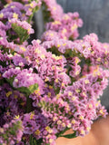 Light Rose Lavender Statice, Forever Happy, Dried Flower, 30 Seeds flower spore