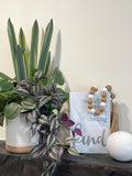 Large Fake Plants in White Pot, Nearly Natural House Plants for Floor, Mantel and Table, Artificial Potted Plant Mix, Faux Plants Home Decor faux plants