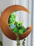 Hanging Moon Planter Black or Gold - Great for Succulents, Air Plants, Cactus, Faux, Artificial Plants, Witchy Gifts - Gothic - Boho faux plants