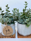 Artificial Eucalyptus Plant in handmade Concrete Pot with Wood Tray - Floating Shelf Faux Plant, Farmhouse, Rustic, Boho Decor Fake Plant faux plants