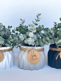 Artificial Eucalyptus Plant in Handmade Concrete Pot - white, black or gray planter - Faux Eucalyptus - Rustic, Farmhouse Decor, Fake Plant faux plants