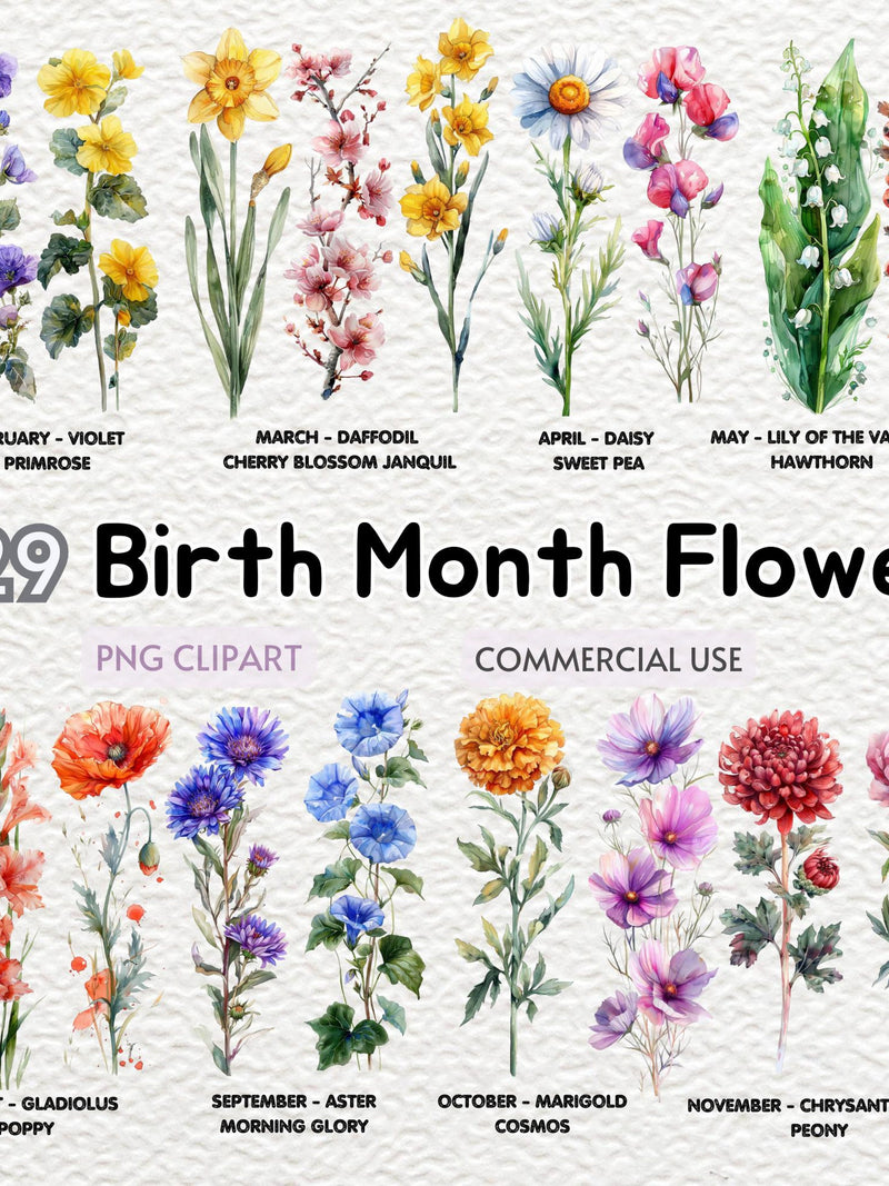 Watercolor Birth Month Flower Clipart, Birth Month Flower Art Illustrations, Birthday Celebration, Floral Illustration,Birthday Decor, DIY birthday flower
