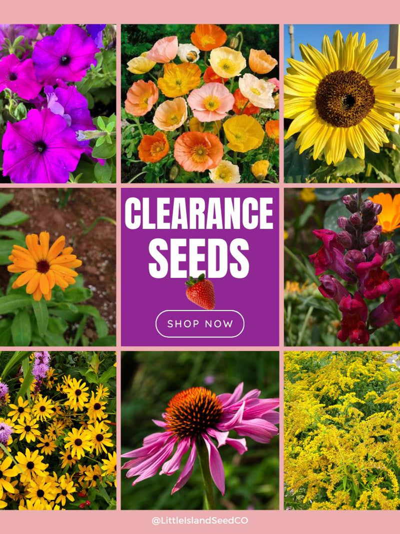 Previous Season's High-Quality Seed: Hungarian Breadseed Poppy, Marigolds, Lupins, Wildflowers, Sunflowers, Perennials - Viable for Years flower seeds