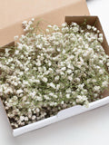 wedding dried flowers, Preserved White Baby's Breath, Wedding Decor, Greeting Cards, preserved flowers, baby breath FLOWER DELIVERY