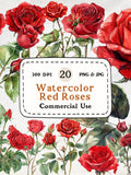 Red Rose Watercolor Clipart Set Ð Valentine's Day Floral Illustrations (Digital Download) Love Romance Flower