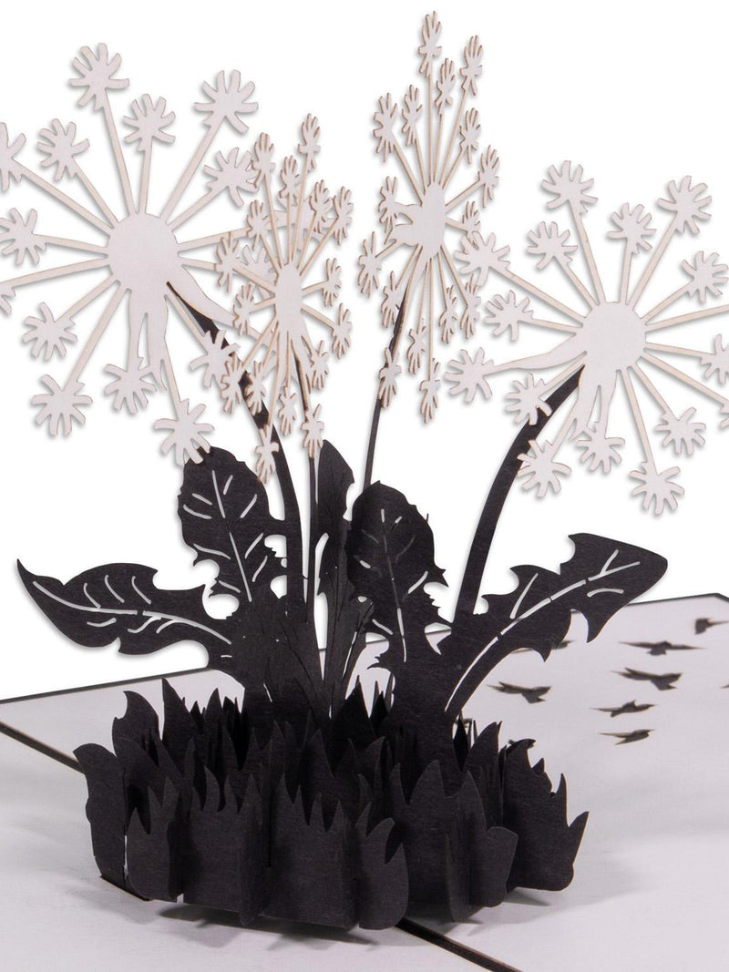 LIN17664, LINPopUp¨, POP UP card flowers, mourning, condolence cards, thank you, condolence card, memorial card, dandelions, N387 sympathy flower