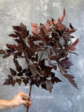 34.5" Faux Cimicifuga Hillside Black Beauty Plant Leaf Branch - Seeded Artificial Plant - Plum Purple faux plants