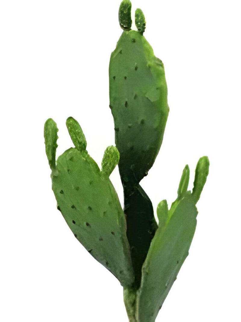 11" Artificial Cactus Plant Stem with Buds - Faux Succulent faux plants