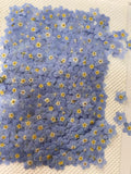 Set of 100 PCS,Pressed forget me nots,Blue forget me nots dried flower,Real Blue flower,dried flower petals,Small dried white flowers FLOWER DELIVERY