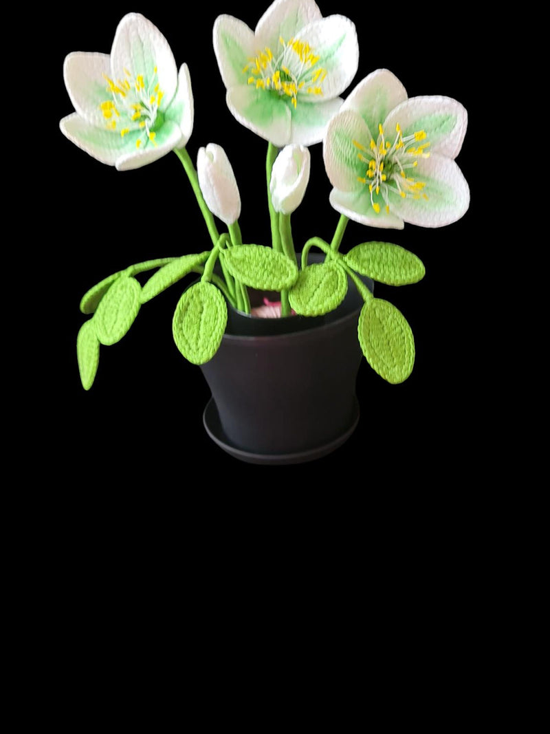 Easy Crochet Hellebore Flower Pattern | DIY Floral Decor (PDF Pattern) flower spore