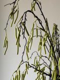 Green Faux Catkin Stems, Artificia Catkin, Hanging Faux Stems, Faux flowers, Faux Foliage, Artificial Flowers, Home Decor, UK faux plants