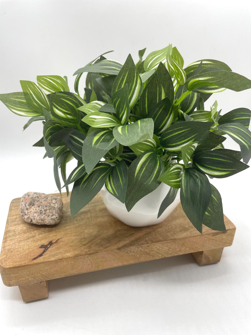 Small Fake Plant in White Ceramic Pot, Artificial Plant Bathroom Decor, Green Leaves Potted Plant, Faux Greenery for Shelf and Coffee Table faux plants