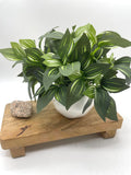 Small Fake Plant in White Ceramic Pot, Artificial Plant Bathroom Decor, Green Leaves Potted Plant, Faux Greenery for Shelf and Coffee Table faux plants