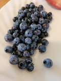 Wild Blueberry Seeds Canada, Blue Berry Bush Shrub, Canada Grown, Grow Your Own Perennial Wild Native Fruit, Bilberry, Vaccinium Spp seeds bulk