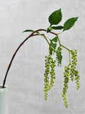 Faux Green Pokeweed Spray - High Quality Artificial Plant / Flower Arrangement / DIY Floral / Wedding / Bouquet / Home Decoration / Gifts faux plants