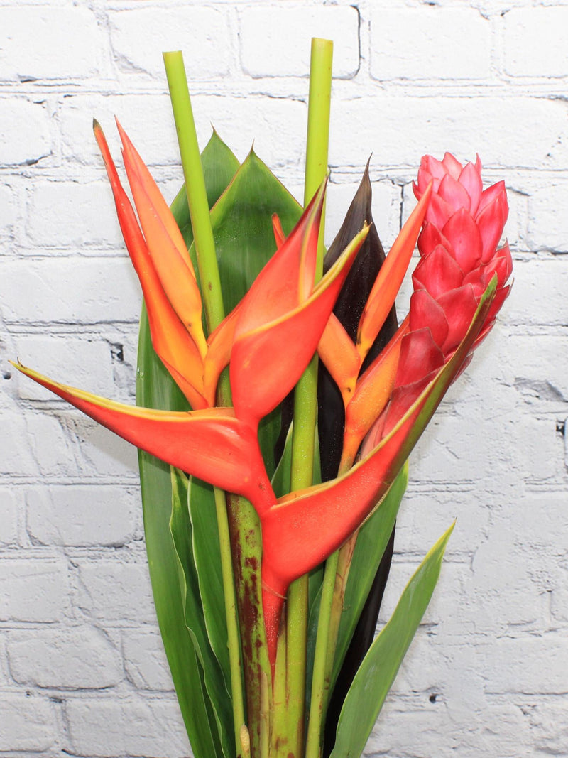 X Fresh & Natural Paradise Bouquet FLOWER DELIVERY