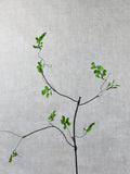Faux Green Leaf Stem  - High Quality Artificial Foliage / Branches / Plant / Wedding / Home Decor / Arrangement / Centerpiece / Gifts / Vase faux plants
