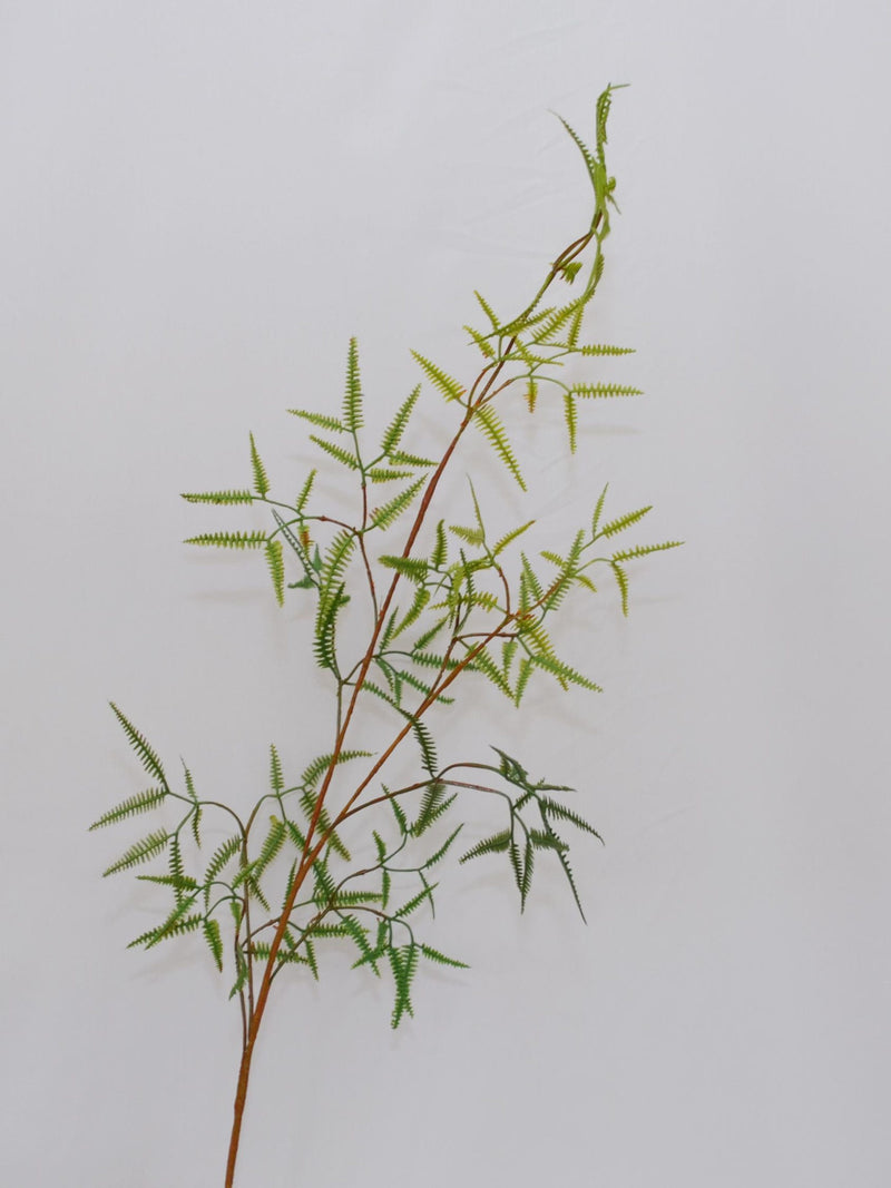 Faux Asparagus Fern Stem, Artificial Greenery for Home Decor, Tall Green Plant Branch, Floral Arrangements, Indoor Rustic Floral Display faux plants