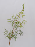 Faux Asparagus Fern Stem, Artificial Greenery for Home Decor, Tall Green Plant Branch, Floral Arrangements, Indoor Rustic Floral Display faux plants