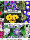Flower Seeds Flowering Vines 7 Variety Pack Cardinal Climber Climbing Black-Eyed Susan, Royal Family Sweet Pea, Morning Glory Mix & more. flower seeds