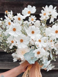 30 seeds lovely flower white mix seeds bulk