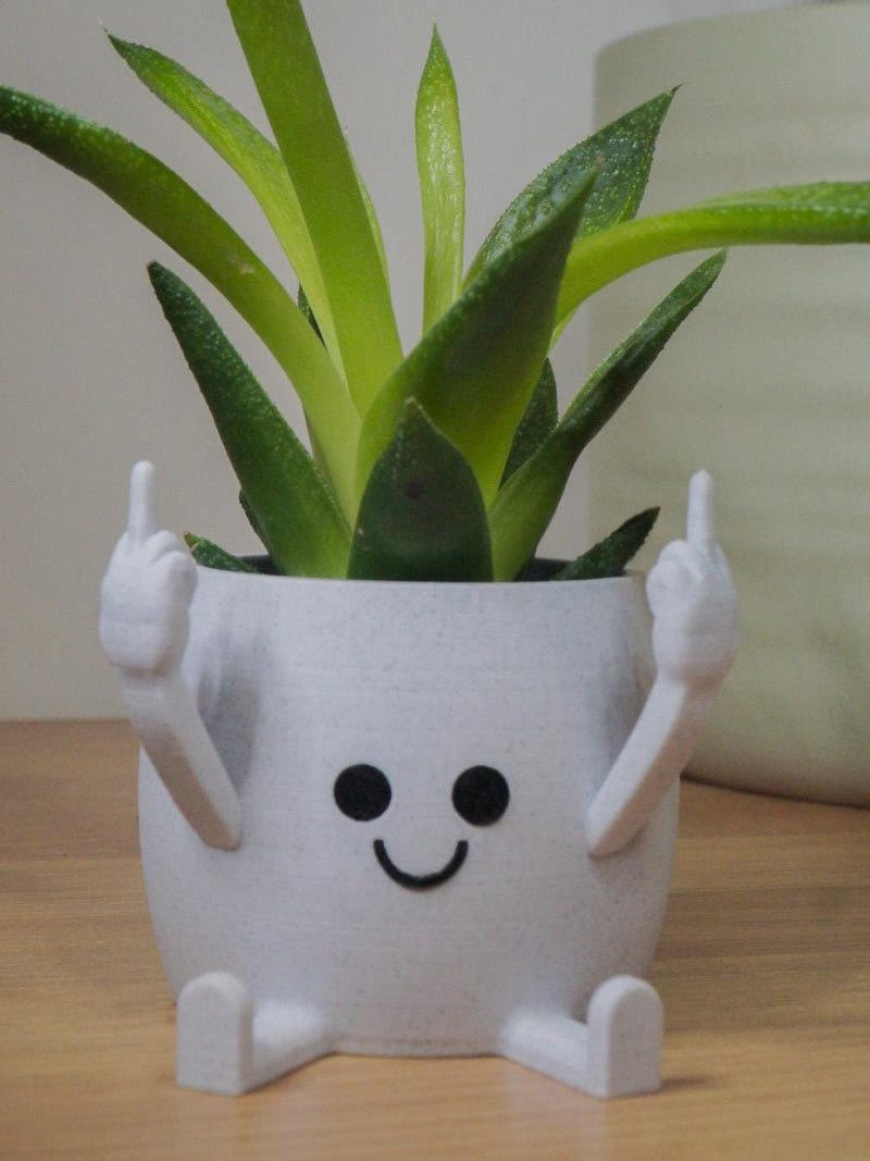 Happy Face Planter, Cheeky Middle Finger Succulent Planter - Middle Finger Plant Pot, Cute Funny Gift - Fun Home Decor - Fast Delivery! FLOWER DELIVERY